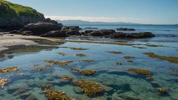 Exploring Tranquil Tide Pools on a Rocky Coastal Beach Scene photo