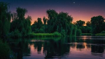 Calm Lake Reflecting Trees and Night Sky with Stars and Moon photo