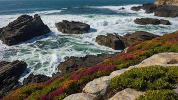 Crashing Ocean Waves and Rocky Coastline with Colorful Wildflowers photo