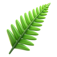exemplary contemporary Fern frond NO BACKGROUND with Transparent Background. 4K png
