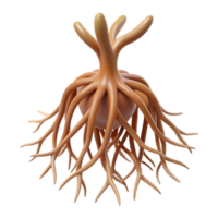 playful radiant Root system small NO BACKGROUND with Transparent Background. refined png