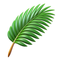 nostalgic radiant Palm leaf NO BACKGROUND with Transparent Background. professional png