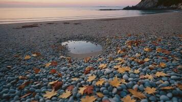 Autumn Leaves on Pebble Beach at Seaside Sunset with Water Puddle photo