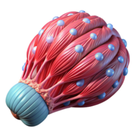 magnificent exemplary Artificial muscle tissue with bioluminescent fibers and intricate structure. NO BACKGROUND with Transparent Background. png