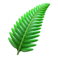 radiant gothic Large green fern frond NO BACKGROUND with Transparent Background. high quality png