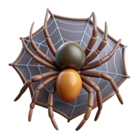 immaculate peaceful tropical Spider spinning a web web considered part of the spider NO BACKGROUND with Transparent Background. impeccable png
