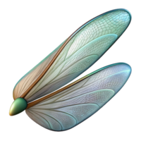 immaculate distinctive Close-up of a dragonfly wing NO BACKGROUND with Transparent Background. png