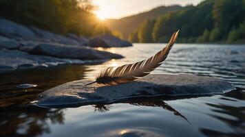 Feather Resting on Rock in River at Sunset Serene Nature Scene photo