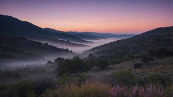 Fog Rolling Through Mountain Valley at Dawn with Pastel Sky photo
