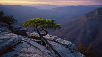 Lone Tree on Cliffside Overlooking Mountain Range at Dusk Scenery photo