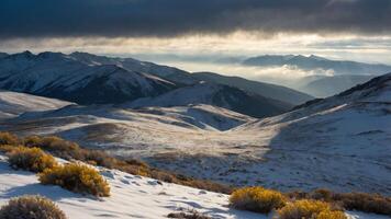 Snowy Mountain Range Landscape Under Cloudy Sky with Yellow Bushes photo