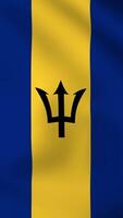 Vertical, portrait, waving national flag of Barbados. Smooth animation with highly detailed, realistic animated background for social media, screens smartphone. Official colors cloth motion video