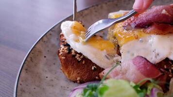 Egg and bacon open sandwich with sesame seed bread and salad video