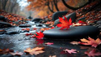 Autumn Leaves Floating on Stream Water with Rocks and Reflections photo