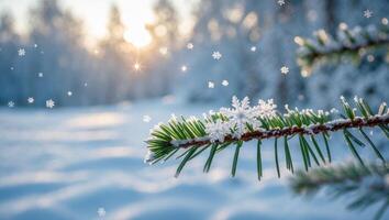 Snowflake on Pine Branch in a Snowy Winter Forest Setting photo