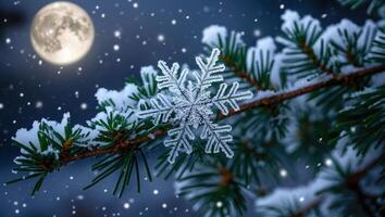 Snowflake on Pine Branch with Snowfall and Full Moon Background photo