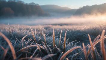 Frosty Grass Field at Dawn with Foggy Background Landscape Scene photo