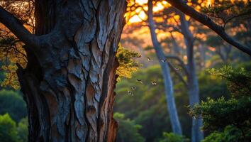 Birds Flying Through Forest Canopy at Golden Hour with Sunlight photo