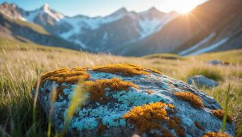 Mossy Rock in Mountain Meadow with Snow Capped Peaks at Sunset photo