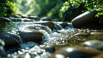 Flowing Water Over Rocks in Stream with Lush Greenery Scenery photo