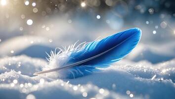 Blue Feather Resting on Snow with Bokeh Lights and Dreamy Feel photo