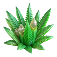 beautiful vintage Fern Fractal Design Green Cutout Transparent Background png