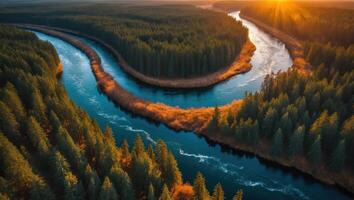 Aerial View of River Curving Through Forest at Golden Sunset Hour photo