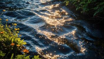 Sunlight Sparkling on Flowing River Water with Wild Yellow Flowers photo
