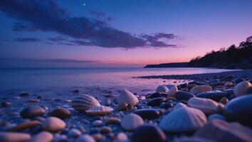 Calm Coastal Beach with Rocks Shells and Dramatic Sunset Sky photo