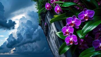 Orchid Blooms Against Dramatic Sky with Cliffside View photo
