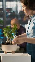 Vertical Upset worker in office packing desk plants on last day at work after quitting, saying goodbye to colleague. Employee getting fired from job during layoffs, saddening coworkers, camera A video