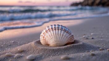 Seashell Resting on Sandy Beach Shoreline at Sunset with Gentle Waves photo