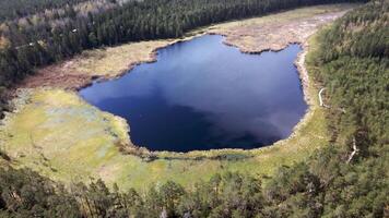 An aerial view of a heart shaped lake with deep blue water, encircled by marshy terrain and dense evergreen and deciduous forest extending outward. video