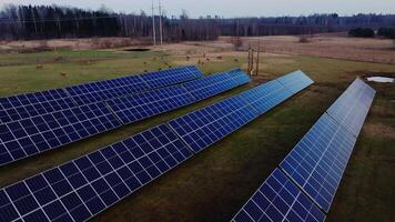 Rows of solar panels on a grassy field with sparse trees, open land, and deer in the distance. Power lines and poles indicate nearby infrastructure. video