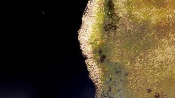 An aerial perspective of a rugged shoreline with rocky terrain, vibrant green vegetation, and calm dark water with subtle ripples near the edge. video