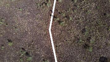 aerial view of zigzag wooden boardwalk crossing dry grassland with sparse vegetation, small trees, and visible shadows adding depth to the terrain. video