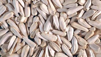 A detailed view of sunflower seeds with elongated beige shells and dark streaks, arranged densely to form a uniform and textured pattern. video
