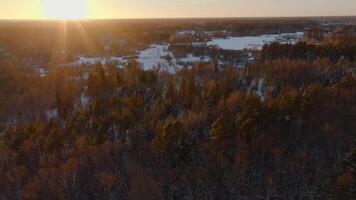 Golden sunlight illuminates a forest of snow covered trees during sunset, with open land and frozen water visible in the distance under a vast horizon. video