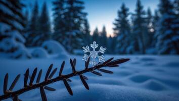 Snowflake on Branch in Winter Forest with Soft Blue Light photo