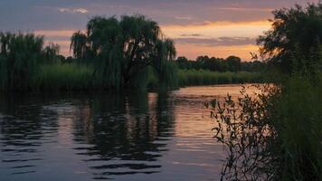 Calm River Reflecting Sunset Sky with Willow Trees and Reeds photo