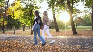 Enjoying a sunny autumn stroll in a park with friends on a crisp afternoon video