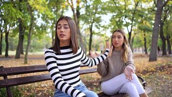 Enjoying a sunny afternoon in the park while sharing stories and laughter video