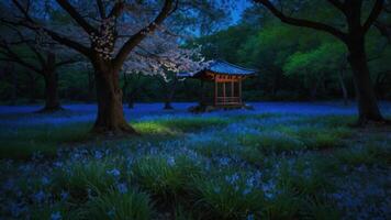 Peaceful Garden Scene with Flowering Tree and Small Wooden Pavilion photo