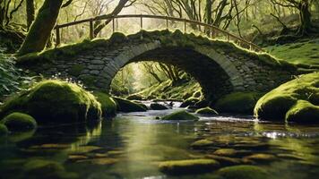 Stone Bridge Covered in Moss Spanning a Tranquil Forest Stream photo