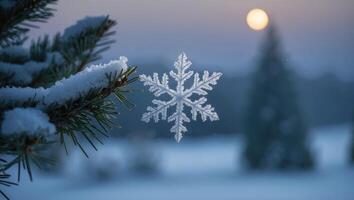 Snowflake and Evergreen Branch with Snow in Winter Landscape photo