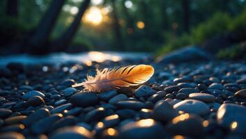 Feather Resting on River Rocks at Sunset for Serene Nature Scene photo