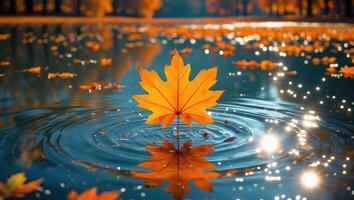 Floating Autumn Leaf in Water Creates Ripples with Reflection photo