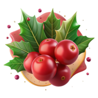 extraordinary modern Cranberry Red Holly Berries Isolated with Transparent Background and Festive Cheer genuine png