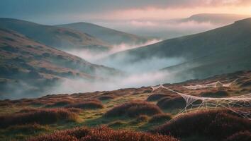 Fog Rolling Through Green Mountain Valley with Spiderwebs in Foreground photo