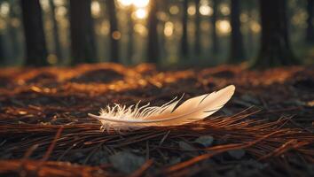 Feather Resting on Forest Floor with Sunlight Filtering Through Trees photo